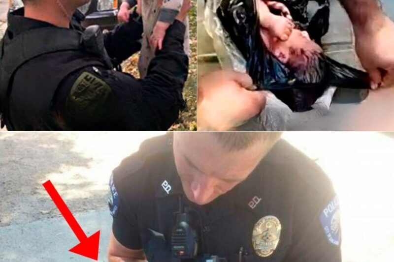 Um policial encontrou um bebê chorando em uma lixeira e o resgatou. Anos depois, ele teve uma surpresa.