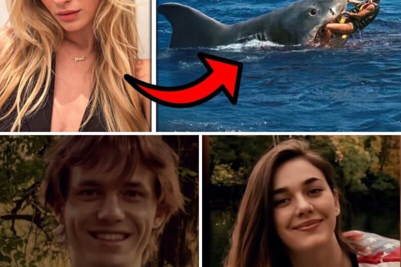 Os últimos minutos de Emma Rodriguez sendo devorada viva por um grande tubarão branco de 5,5 metros