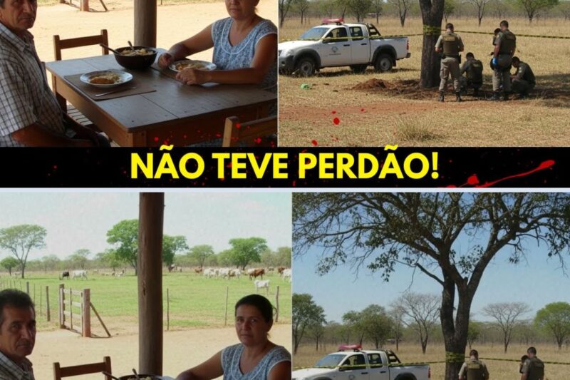 Pecuarista Mata Esposa e Veterinário em Mato Grosso do Sul — Vizinho Flagrou Infidelidade