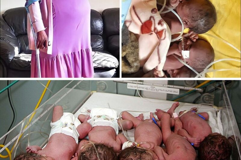 Mulher Dá à Luz 10 Bebês de Uma Só Vez? A História Absurda que Desafiou Todos os Médicos do Mundo!