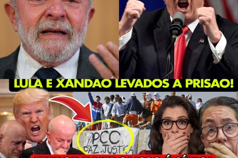 URGENTE! ESTÁ NA TV! TRUMP vai INVADIR O BRASIL e ATACAR LULA, a Suprema Corte, o PCC e…