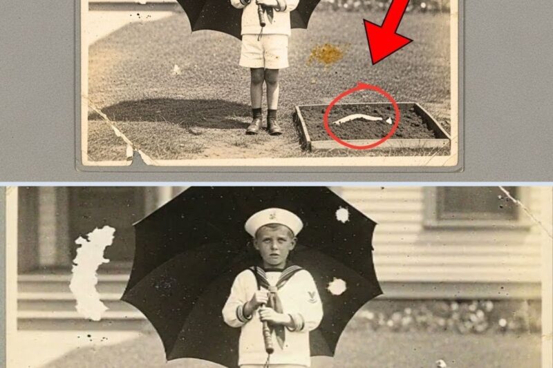 Esta foto de 1910 de um menino segurando um guarda-chuva parecia doce — até que o zoom revelou algo chocante.