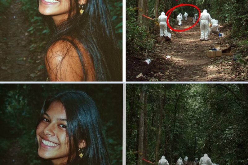 Jovem desapareceu em 2005 em uma trilha – 2 anos depois, um perito encontrou algo que mudou tudo