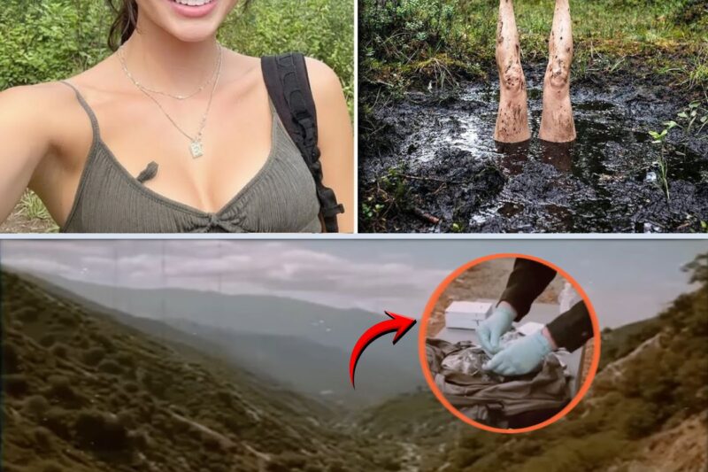 Estudante desaparece no Colorado — um mês depois é encontrada de cabeça para baixo na lama profunda
