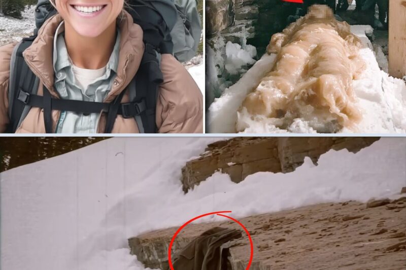 Mulher desaparece em Montana — após 10 anos é encontrada em altar de pedra coberta por cera