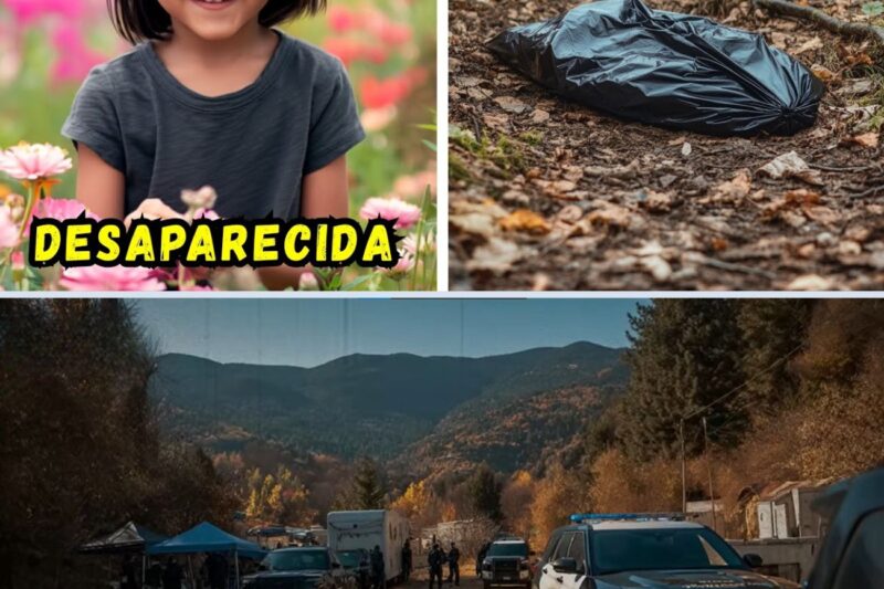 Menina desapareceu em 2021 brincando no jardim dos avós – 8 meses depois, encontraram algo chocante