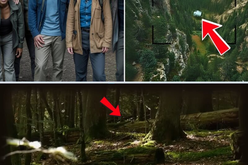 Eles Desapareceram Na Floresta, 5 Anos Depois Um Drone Capta Algo Inacreditável….