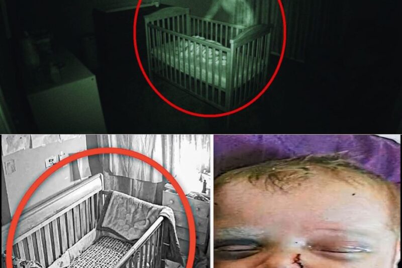 Os familiares foram visitar o recém-nascido e saíram assustados do quarto ao perceberem isso.
