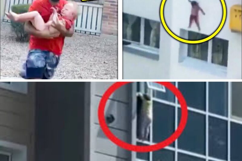 Essa criança estava pendurada em uma janela. Ninguém esperava que isso acontecesse.