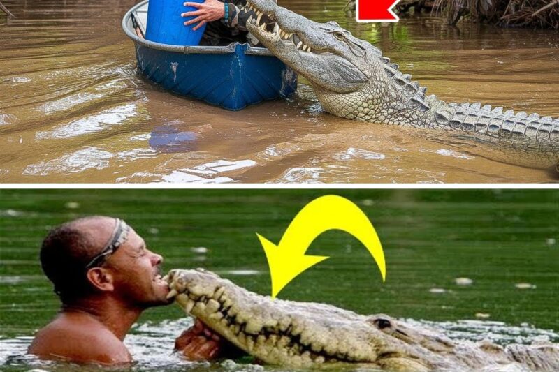 Crocodilo pede ajuda a um pescador – e fica branco como giz quando descobre o motivo!