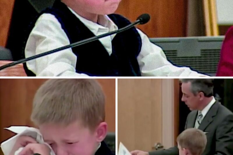 Menino de 7 anos expõe a mãe no tribunal