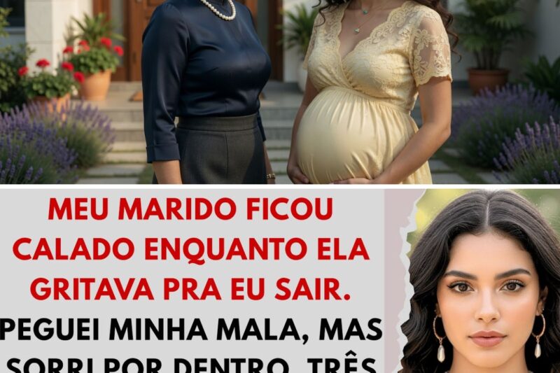 Sogra me expulsou de casa grávida de 8 meses – mas ela não sabia que eu já tinha preparado uma…