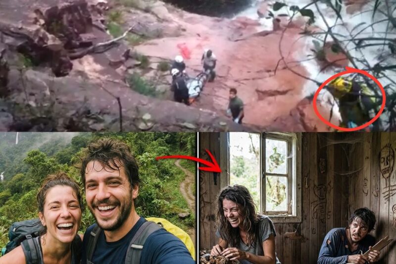 Casal Desapareceu Na Serra Do Mar — 2 Anos Depois Encontrados Em Cabana, Agindo De Forma Estranha