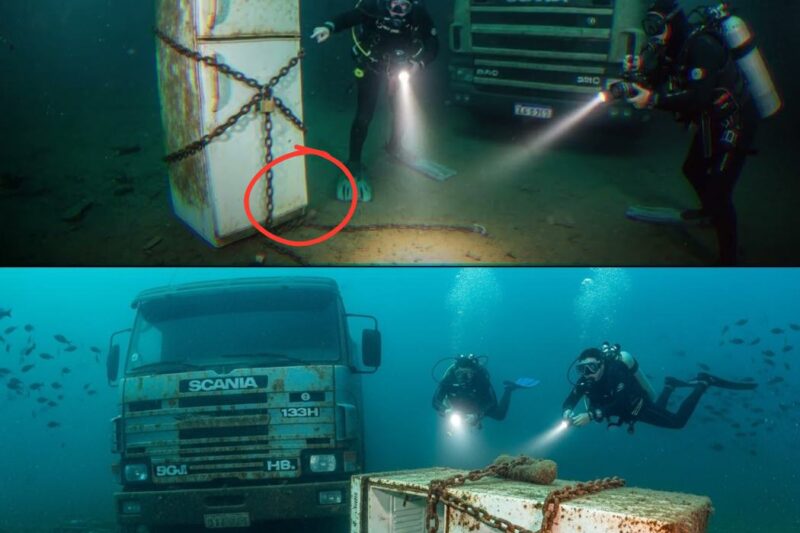 Mulher Caminhoneira desapareceu em 1999 — e hoje pescadores acharam algo congelado no fundo