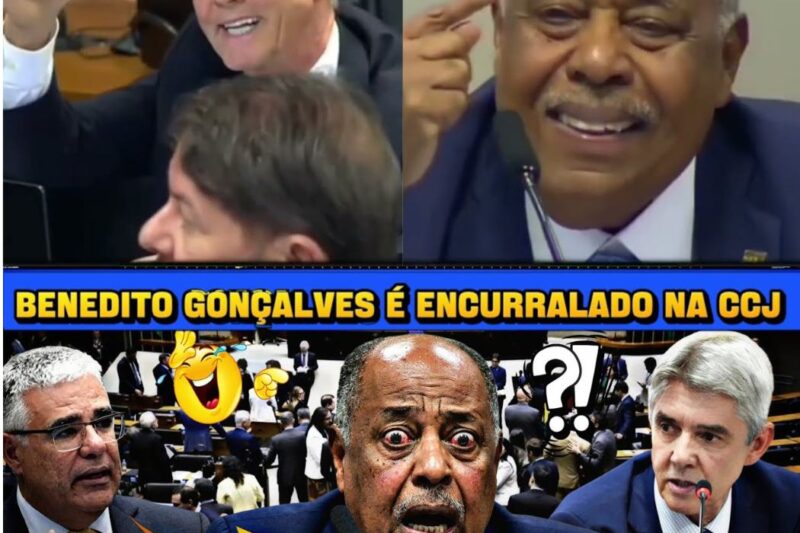 Missão Dada É Missão Cumprida’? Sabatina de Benedito Gonçalves vira um verdadeiro inferno no Senado e expõe rachaduras profundas no Judiciário
