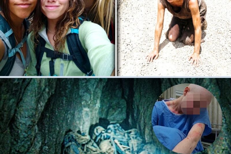 Um Mês Após O Grand Canyon, Apenas Uma Das Três Voltou Raspada