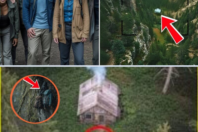 Eles Desapareceram na Floresta… Cinco Anos Depois, um Drone Captou Algo Inacreditável!