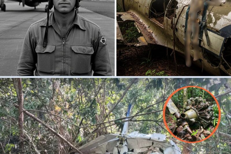 Caça brasileiro some em 1945, 68 anos depois avião é achado preso em copa de árvore no Pará.._