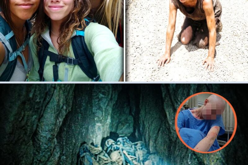 Um Mês Após O Grand Canyon, Apenas Uma Das Três Voltou Raspada