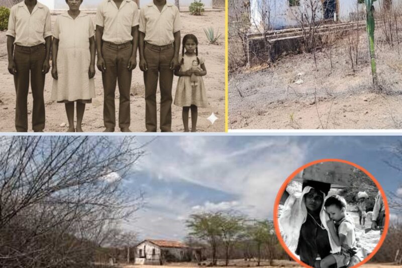 Família Fugiu da Seca em 1963 — 40 Anos Depois, Casa Achada Intacta Com Mesa Posta no Sertão