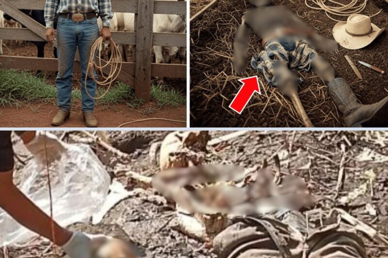 Em 1991, Peão boiadeiro some em Goiás_ 12 anos depois, ao trocar o curral encontram marcas