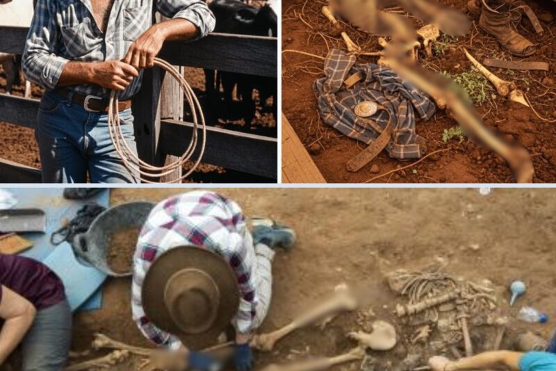 Em 1989, Vaqueiro some no Mato Grosso, 14 anos depois, ao trocar o curral encontram o impossível