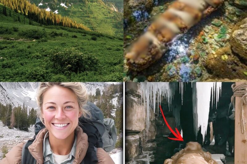 Mulher desaparecida no Montana – 10 anos depois, corpo encontrado num altar de pedra, coberto de cera de abelha…