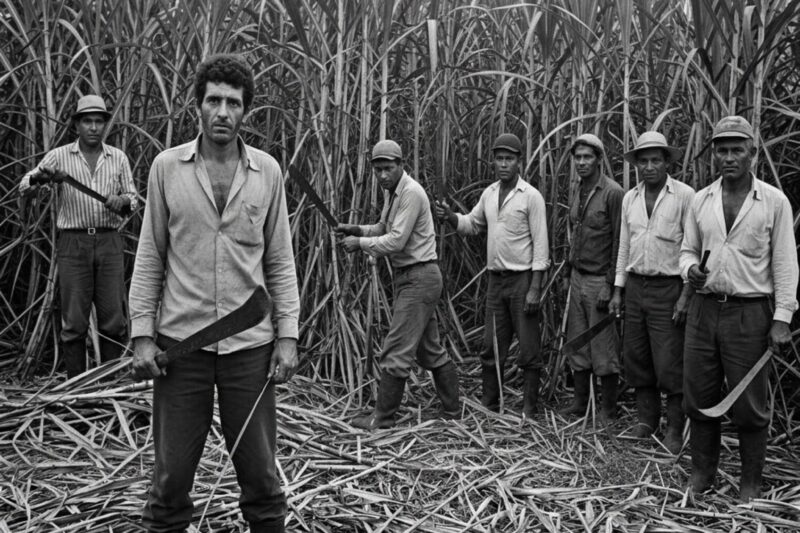 O SEGREDO DOS 11 CORTADORES DE CANA-DE-AÇÚCAR QUE NUNCA VOLTARAM DO VALE DO PARANAPANEMA, DENTRO DE SÃO PALUCOS, EM 1985
